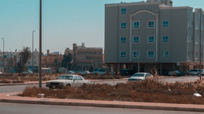 დამამი