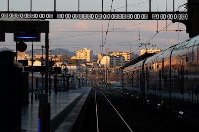 მარსელი