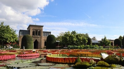 შტუტგარტი